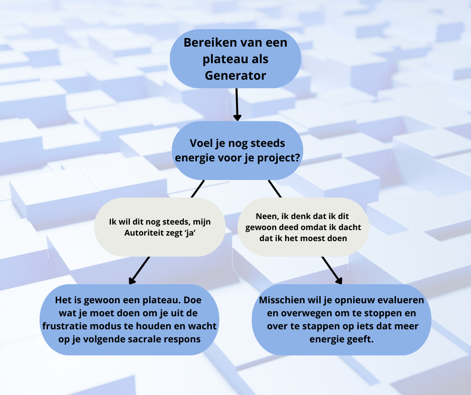 Human Design België